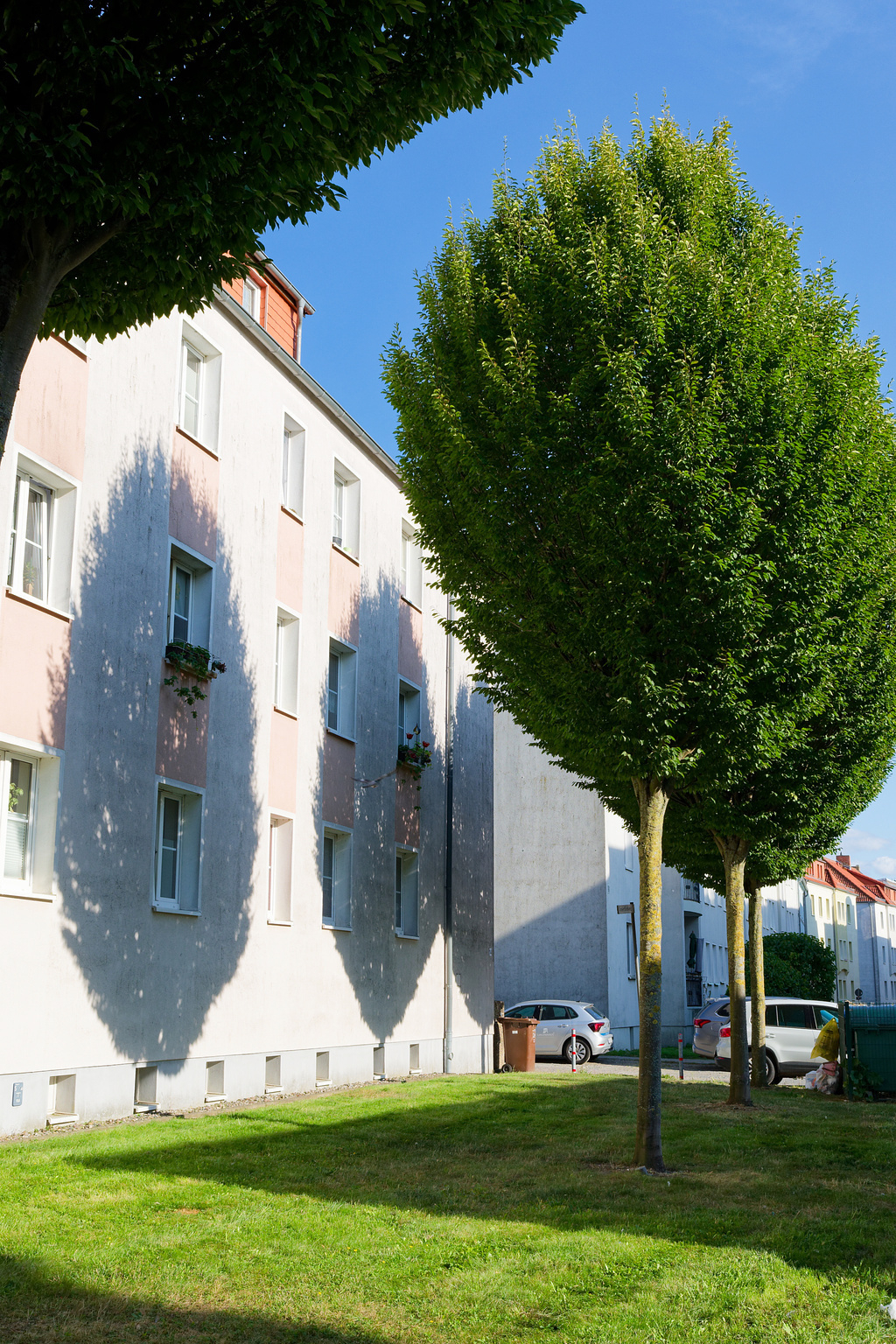 A row of trees casting shadows on the side of a pastel-colored apartment building under a clear blue sky. The grass lawn in the foreground is well-maintained, and two cars are parked by the building. The trees' shadows create unique patterns on the building's surface.