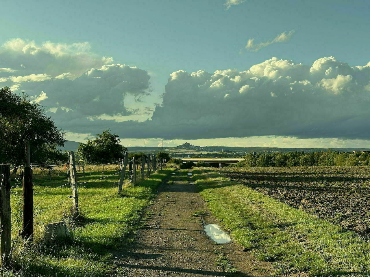 Field path, a lot of green, on the horizon a castle on a hill