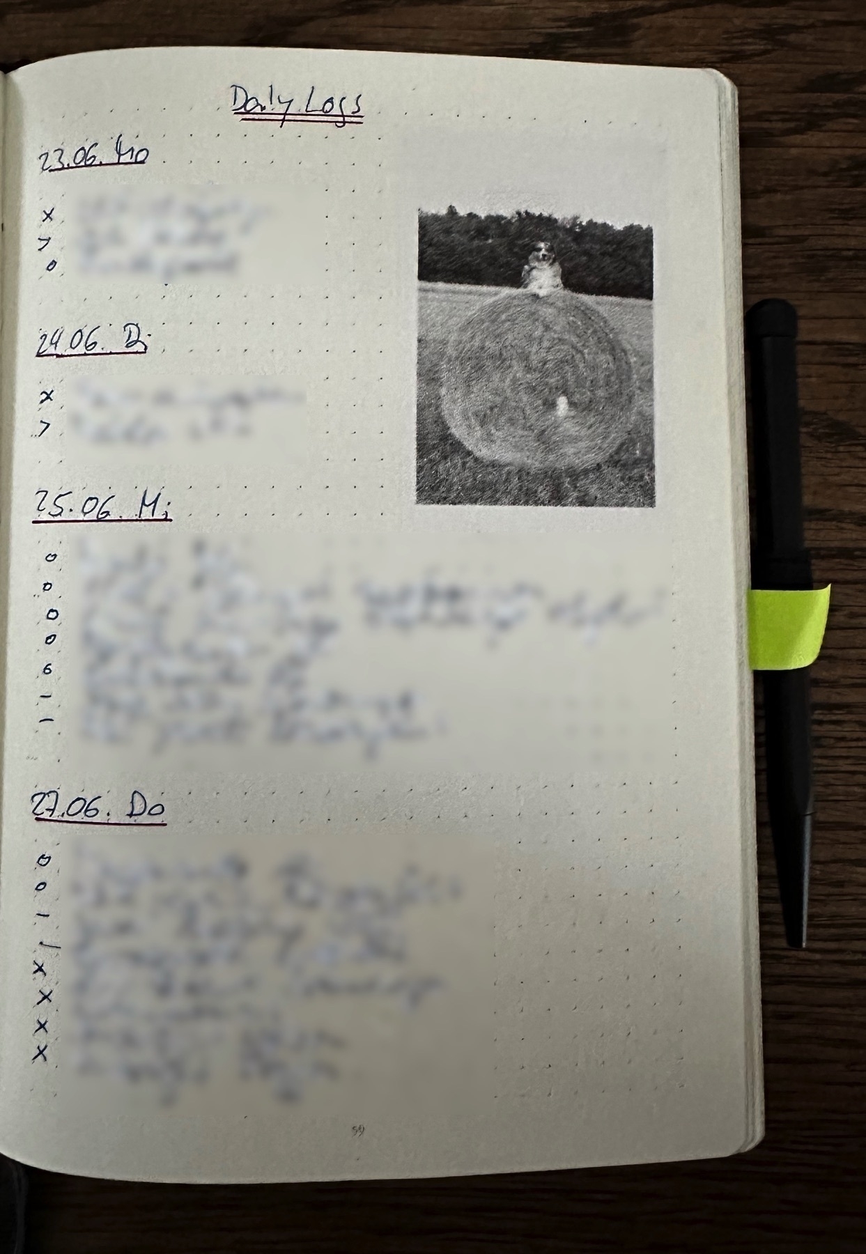 A journal page titled Daily Log lists entries with dates alongside a black and white photo of a large dandelion.